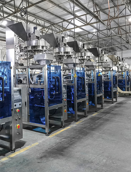 Vertical weighing and bagging systems assembled in the workshop